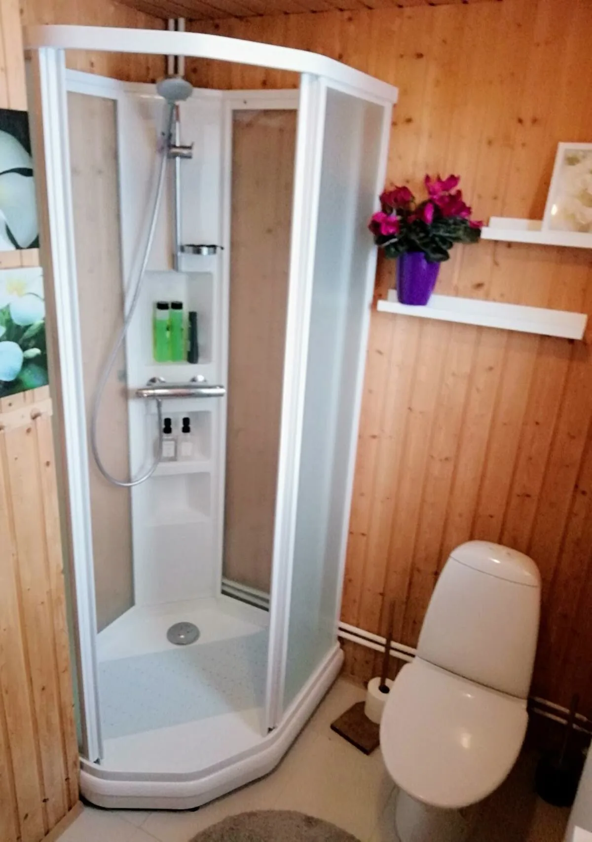 Little Blue House Iceland — bathroom 2